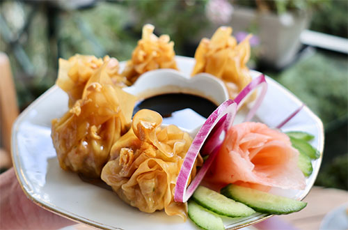 Image plat: Dim Sum Wonton